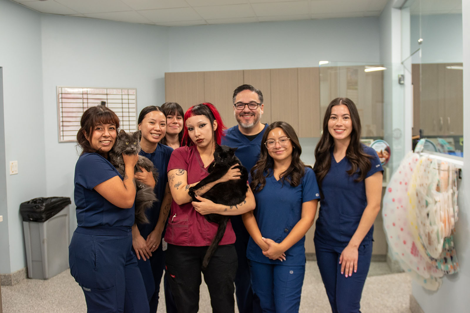Rancho West Animal Hospital 