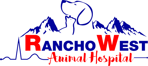 Rancho West Animal Hospital 